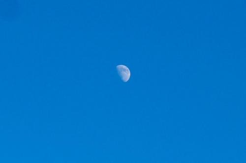 photo original 774 55b680abec4c2